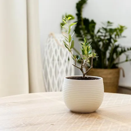 Sarris Village Hill House 3 *