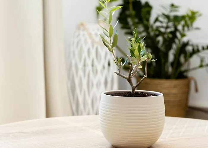 Sarris Village Hill House 3 *